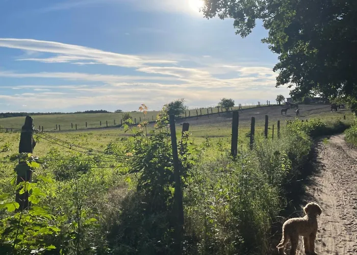 Smaland, 2 Apartments, 11 Gaeste Bei Berlin 民宿